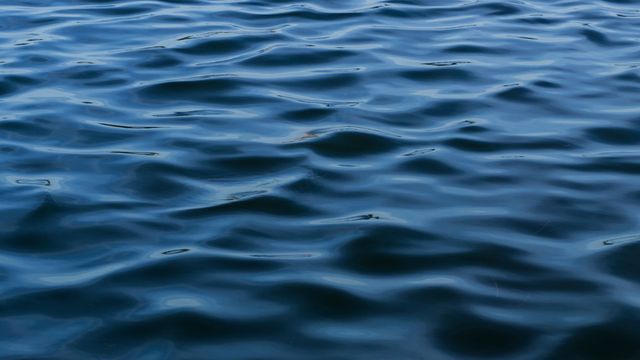 water26